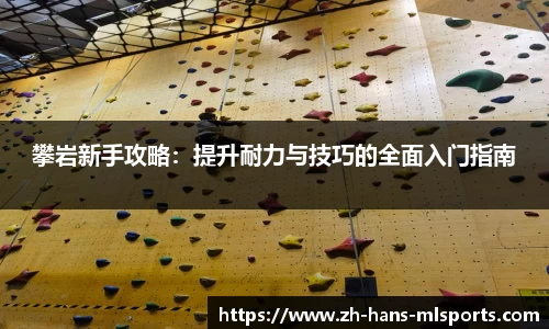 攀岩新手攻略：提升耐力与技巧的全面入门指南